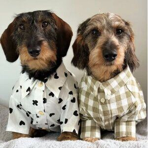The Sylvan Nutmeg Gingham Dog Shirt
